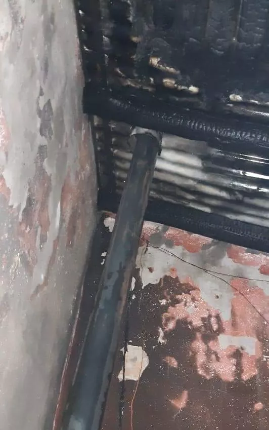 Picsart_22-06-28_10-30-24-929