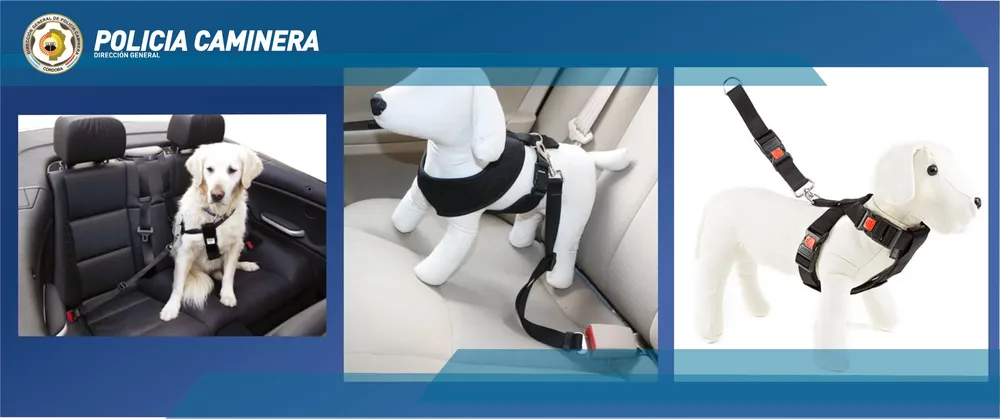 Foto de Policía Caminera Córdoba