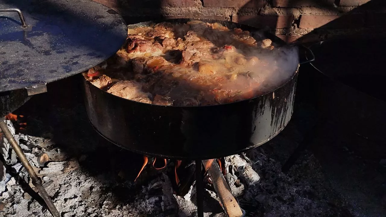 photo_2023-05-01_00-33-52