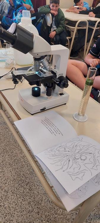 Trabajando en escuelas primarias Octubre 2023