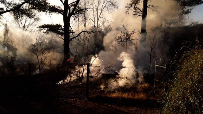 Bomberos Sta rosa 01