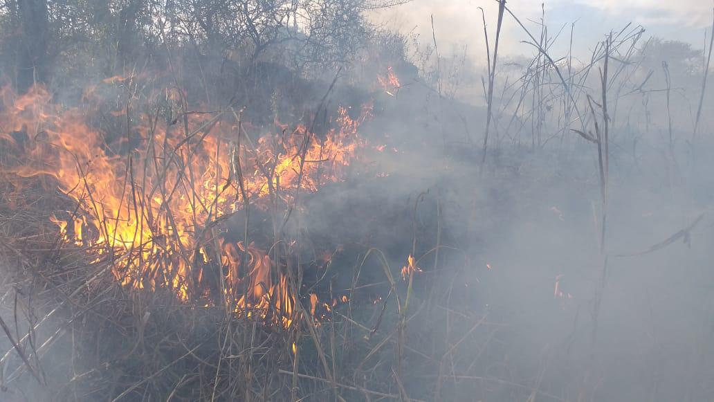INCENDIO EN EMBALSE 04