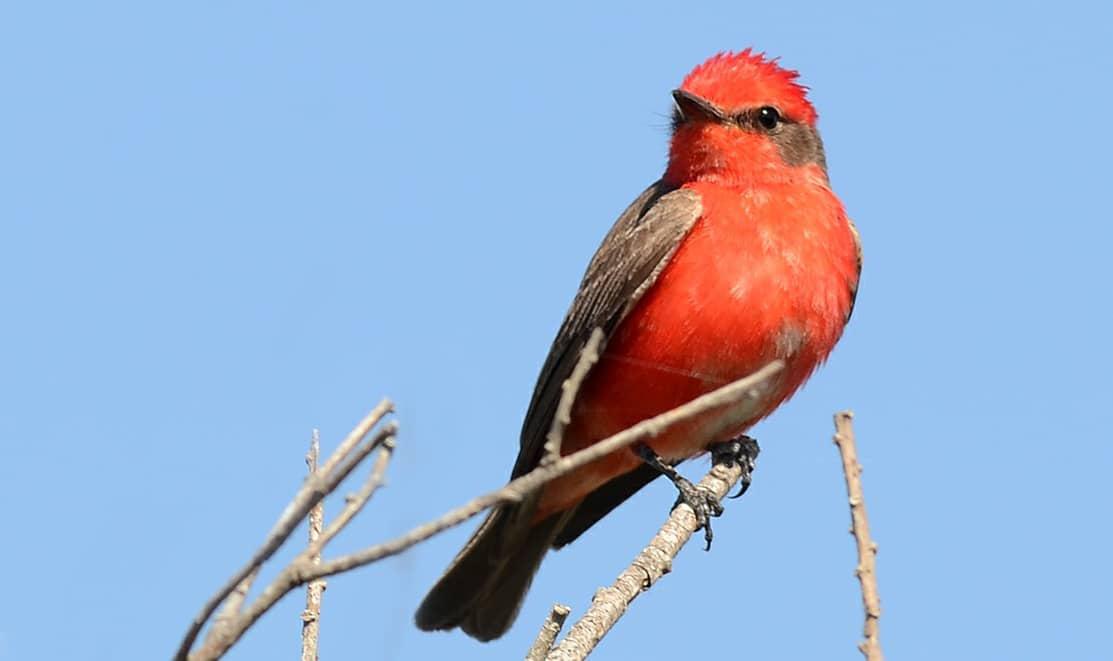 reserva rumipal 4