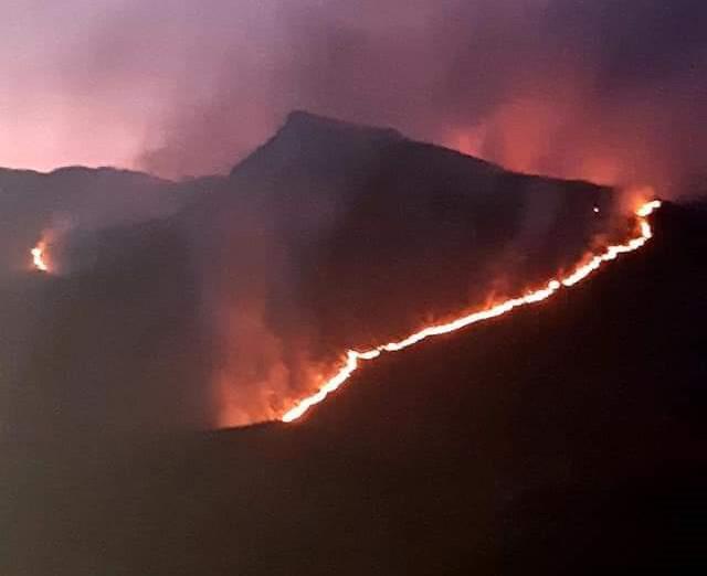 incendio en rio de los sauces
