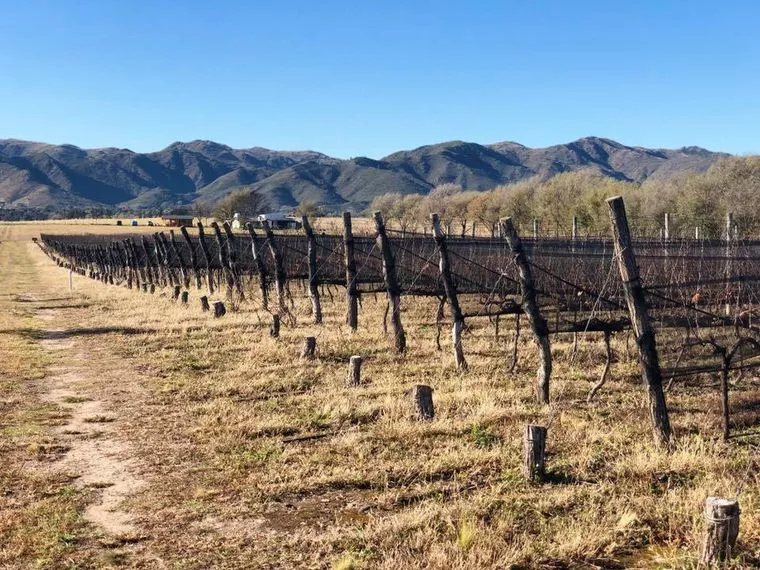 Bodega Famiglia Furfaro Foto: Cordoba Turismo 