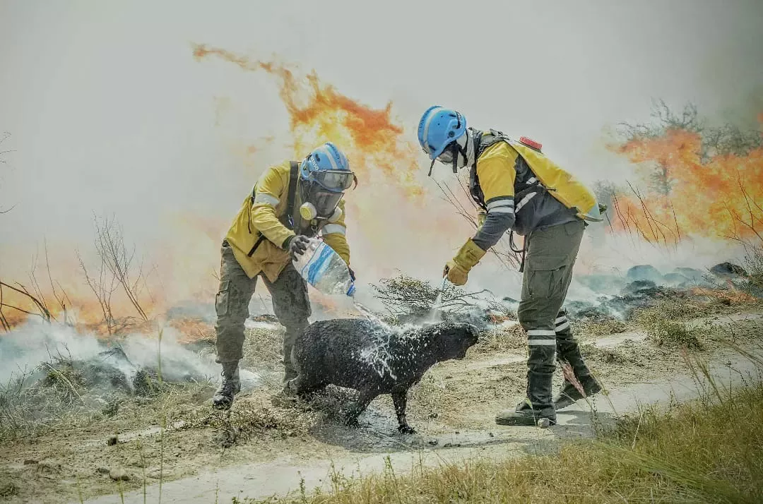 3c88aa83-cd1b-4a76-aafd-4cefb4cba7df