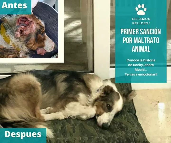 4a7313e6-e1f0-4dd3-bfa5-ea0d11986f88