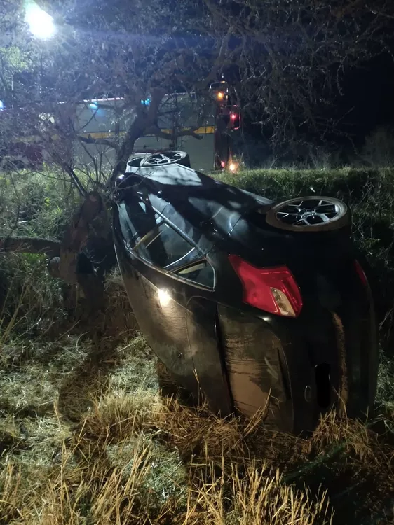 8e28e44f-ffdd-4d1a-bfc5-86ac0c488dd5