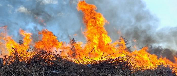 INCENDIO CERRO PISTARINI EMBALSE 04