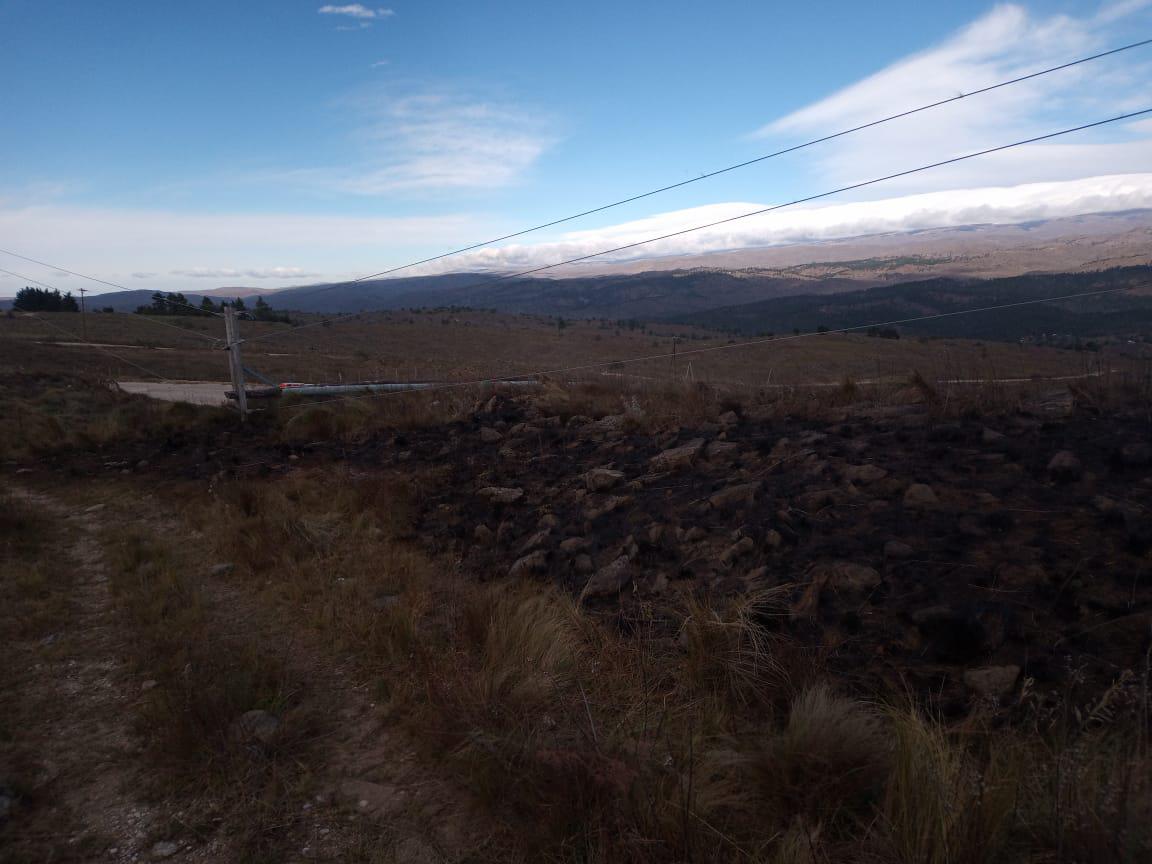 WhatsApp Image 2021-05-22 at 12.54.04