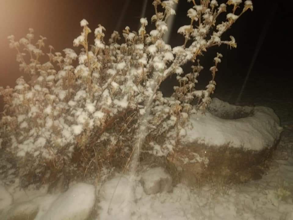 FB_IMG_1599011103212