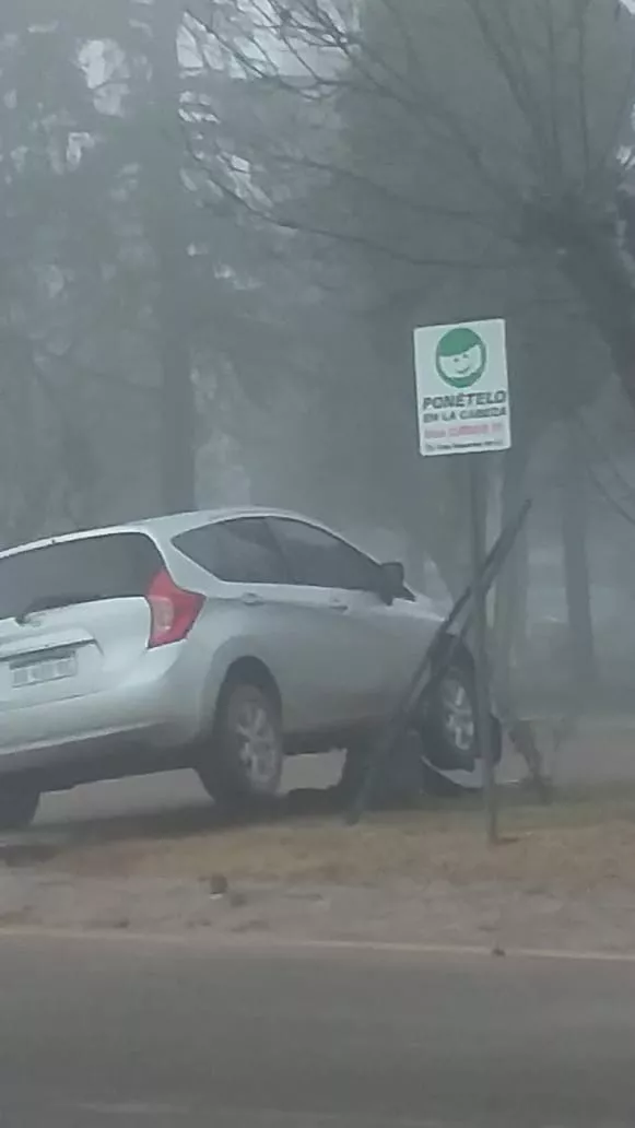 5392b619-cedf-4cfd-9ead-832c831c107b