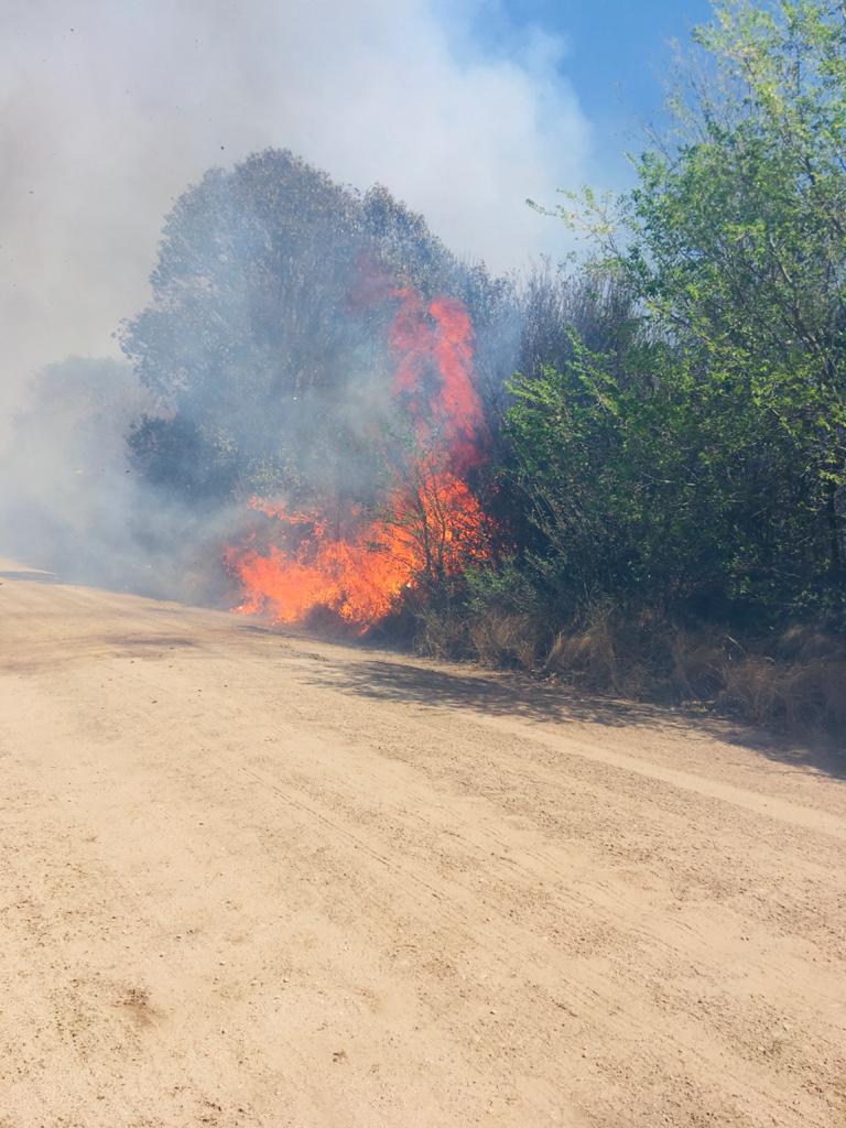 Incendio Alpa Corral 2