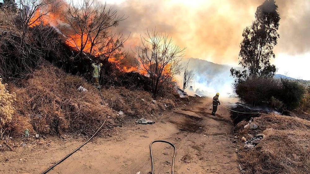 VCA incendio forestal 5