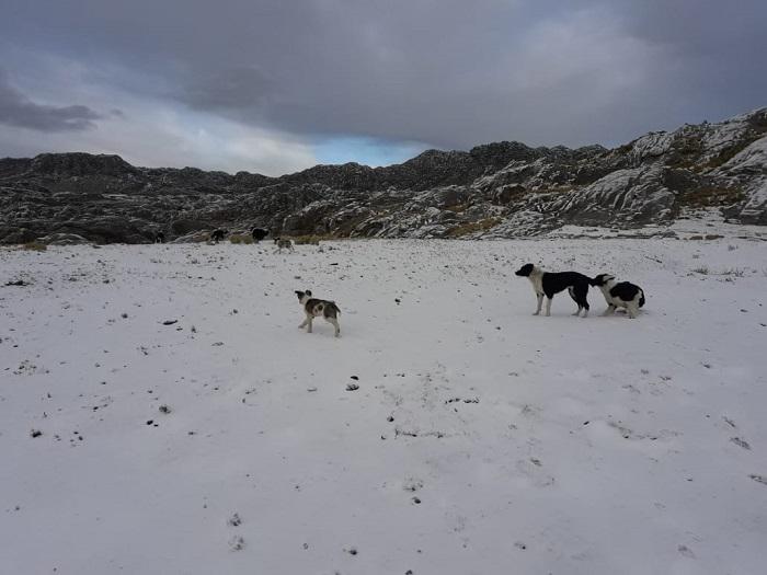 Nieve en el Champaqui 13