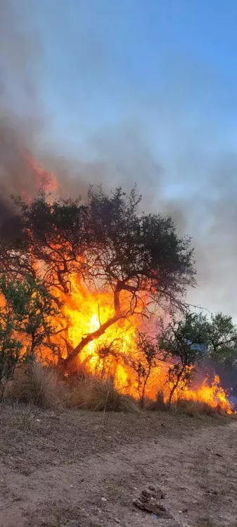 José de la Quintana: bomberos de la regional 7 colaboran en el incendio en predios militares. Se escucharon detonaciones José de la Quintana: bomberos de la regional 7 colaboran en el incendio en predios militares. Se escucharon detonaciones