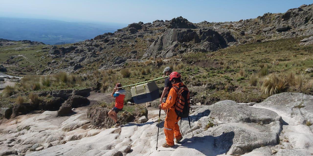 rescate condor champaqui 1