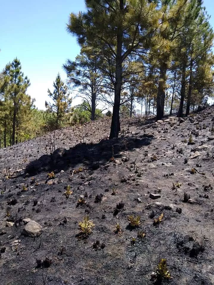 FB_IMG_1637448537002