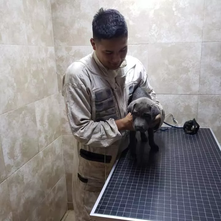 90e84275-e987-42bf-9d62-f320d97ce7fe