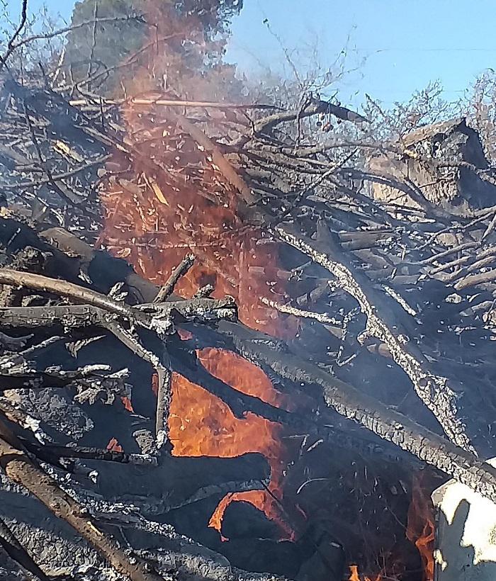 Bomberos en Cerro Pistarini 02