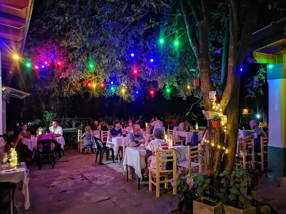 WhatsApp Image 2023-02-15 at 11.36.50 PM