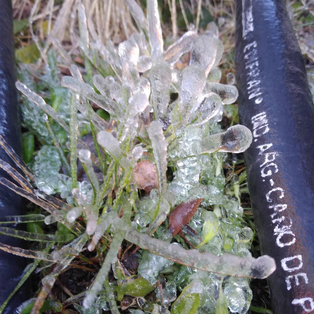 HELADAS EN EL CHAMPQUI 02