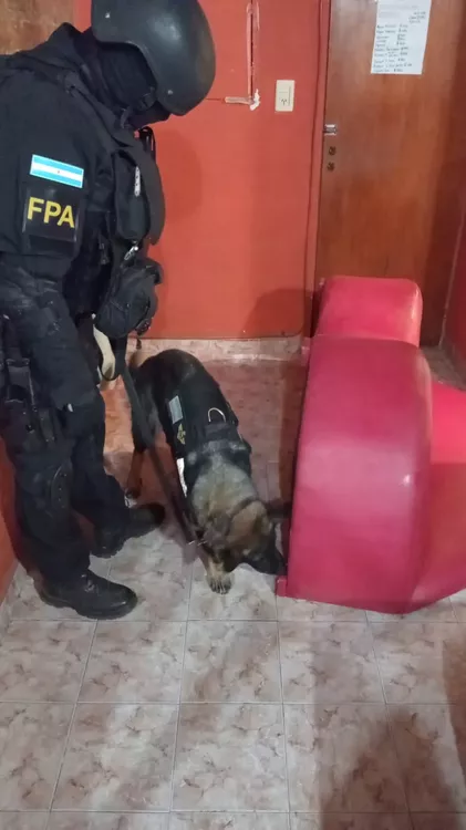 Santa Rosa: Antinarcóticos secuestro 12 mil dosis de droga y uno de los allanamiento ocurrió en Calamuchita