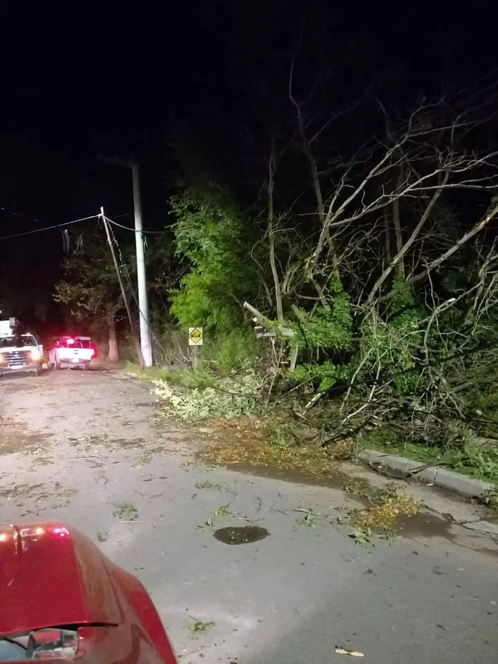 FB_IMG_1648137395832