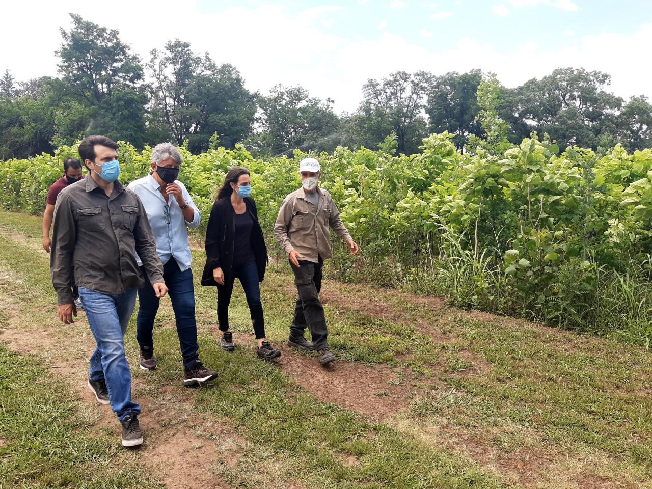 visita al vivero provincial 1