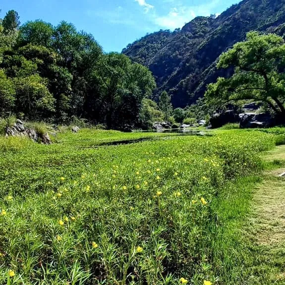 327086506_5595705760552320_6448504986641889752_n