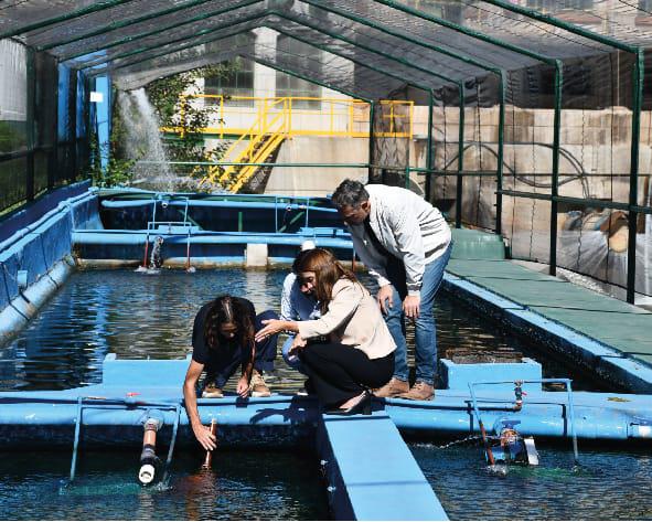 WhatsApp-Image-2024-04-09-at-09.34.09