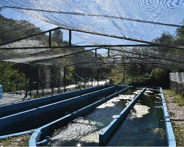 WhatsApp-Image-2024-04-09-at-09.34.08