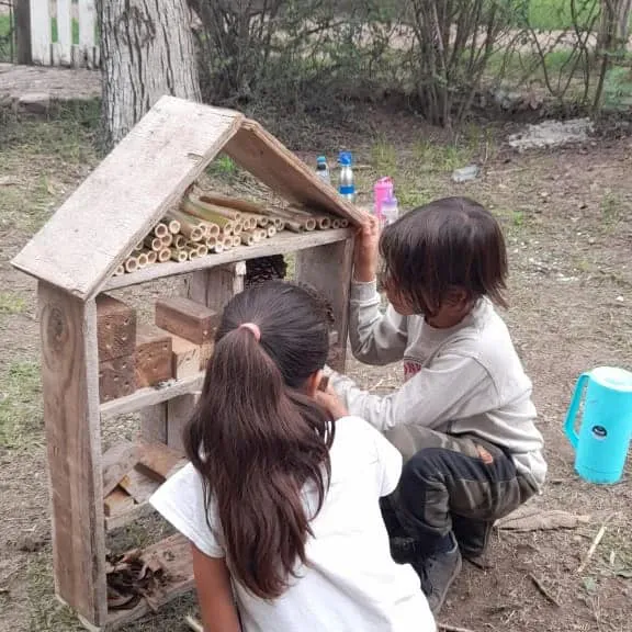 instituto juan salvador gaviota (1)