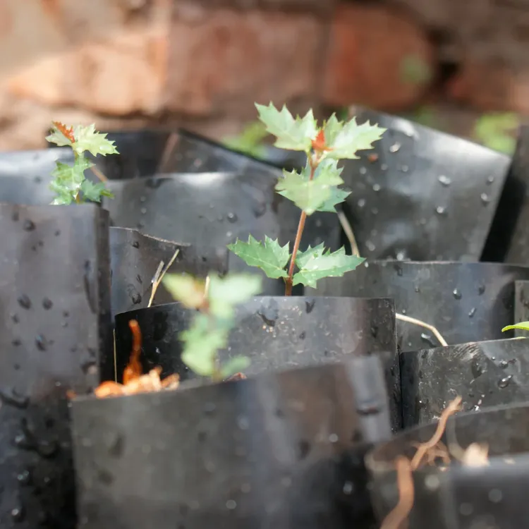 reserva pumakawa villa rumipal