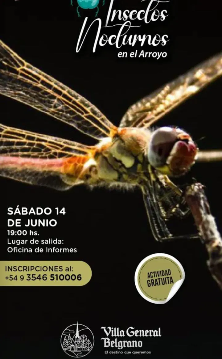 sábado 14 de junio (5)