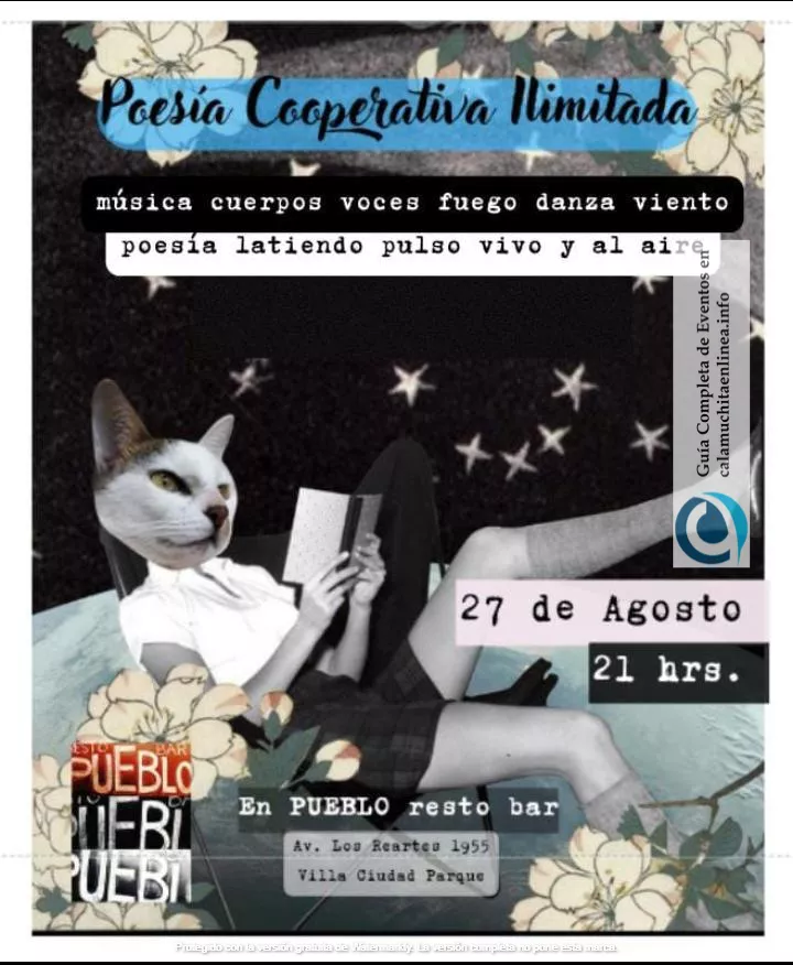 27 poesia vcp