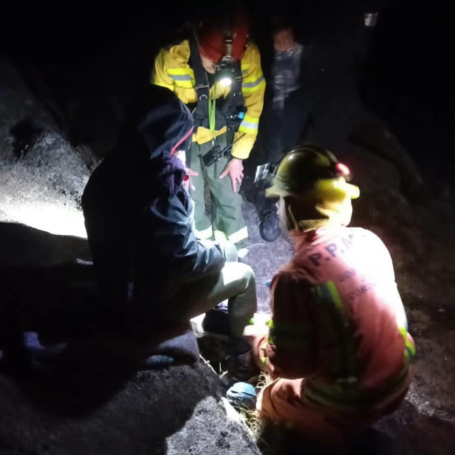 8f670828-6106-4a98-a1a9-108c8c7a7b8e