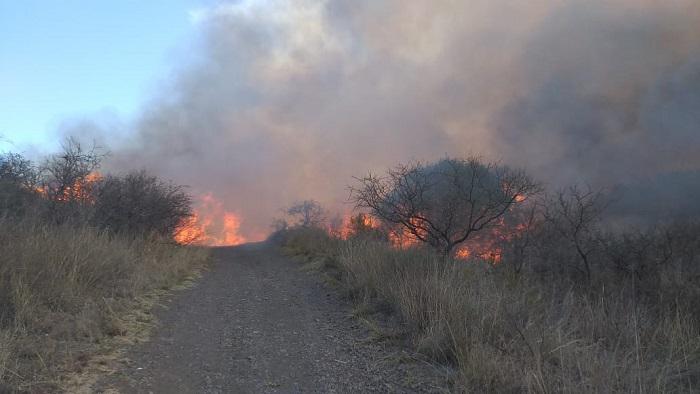 LA CRUZ INCENDIO 04