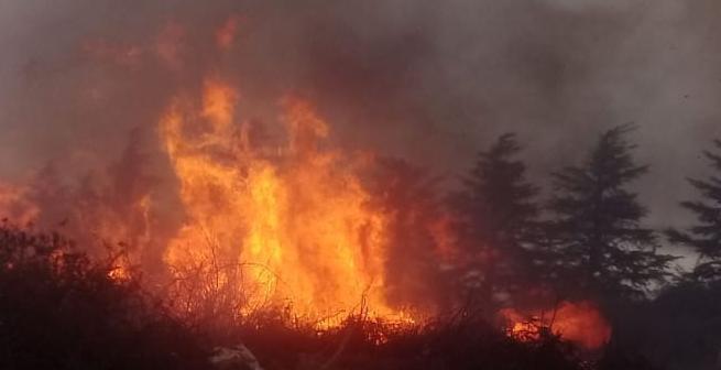 INCENDIO EN CERRO PISTARINI EMBALSE 03