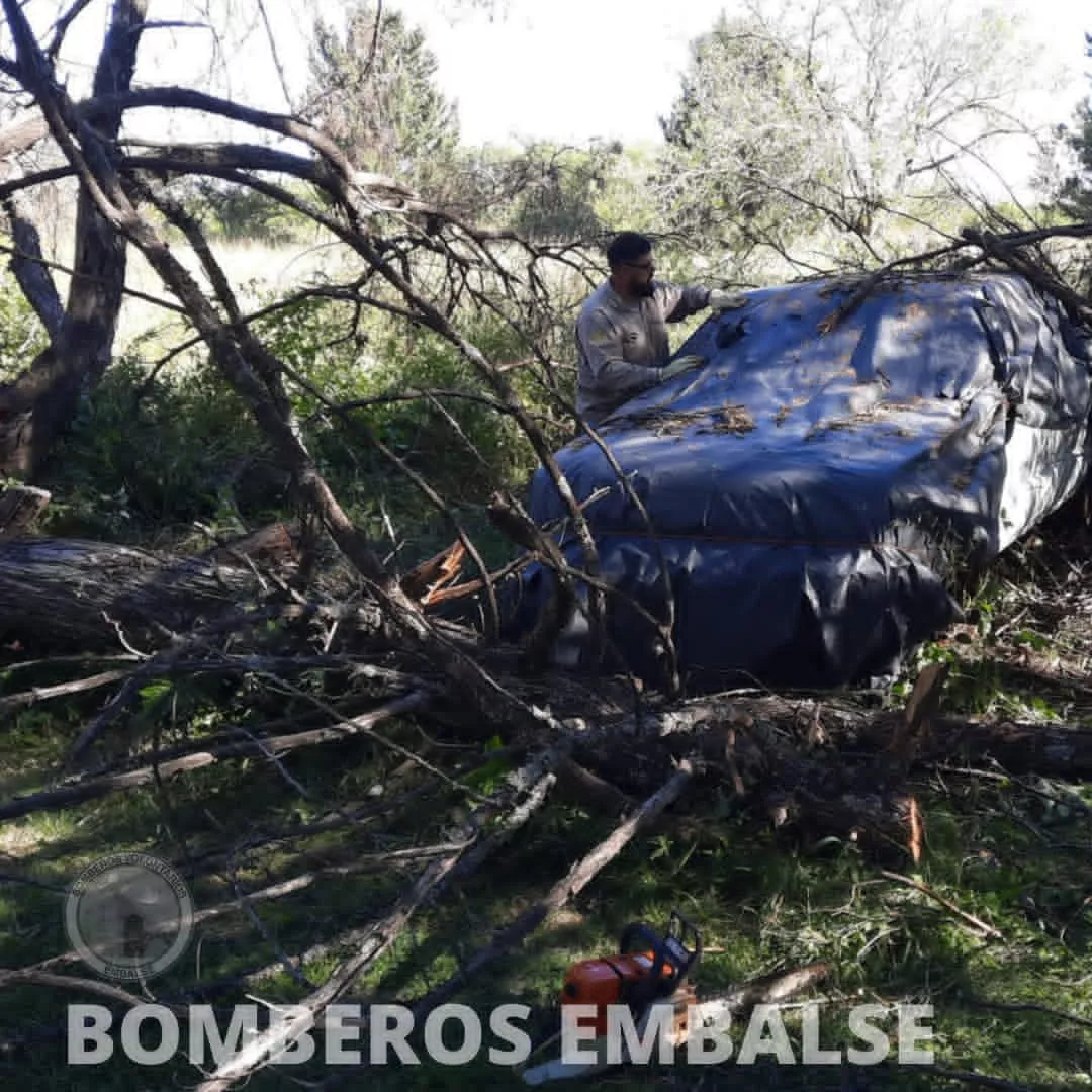 Un árbol cayó sobre un vehículo en Embalse