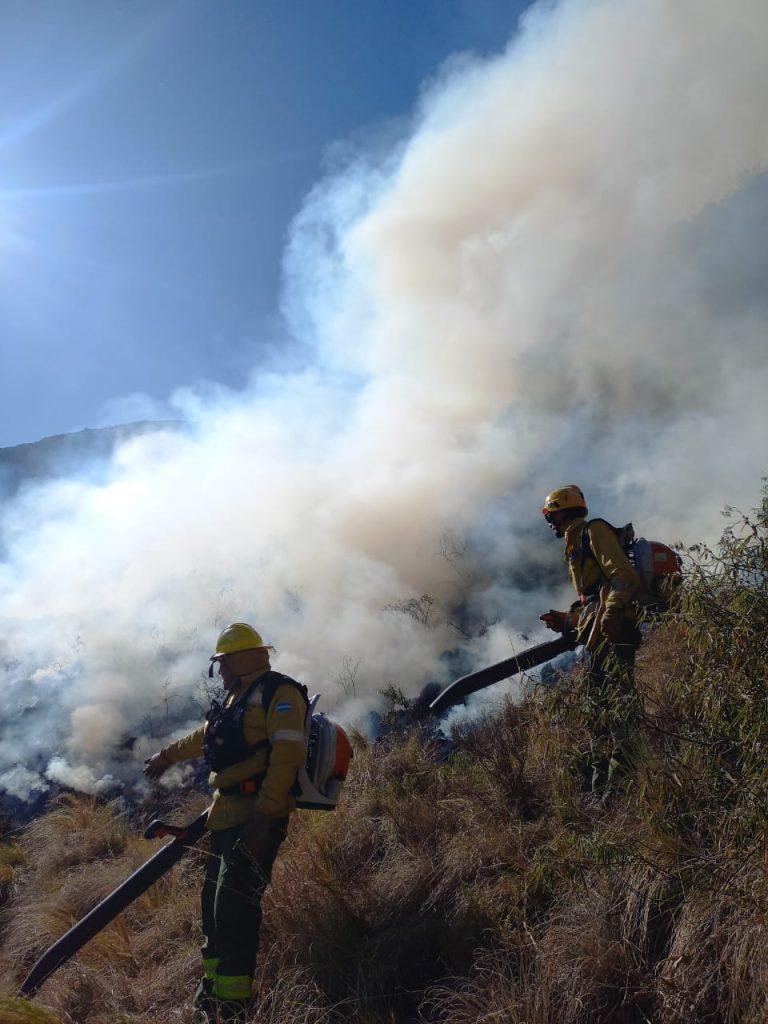 incendios-4-768x1024