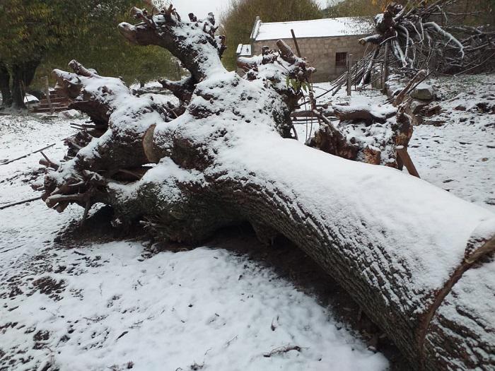 Nieve en el Champaqui 06