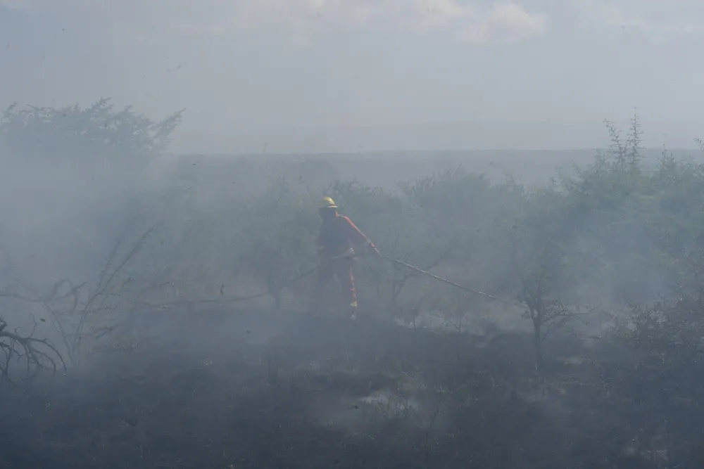Incendio en Villa General Belgrano -  Foto: Gentileza Sebastián Gil Miranda