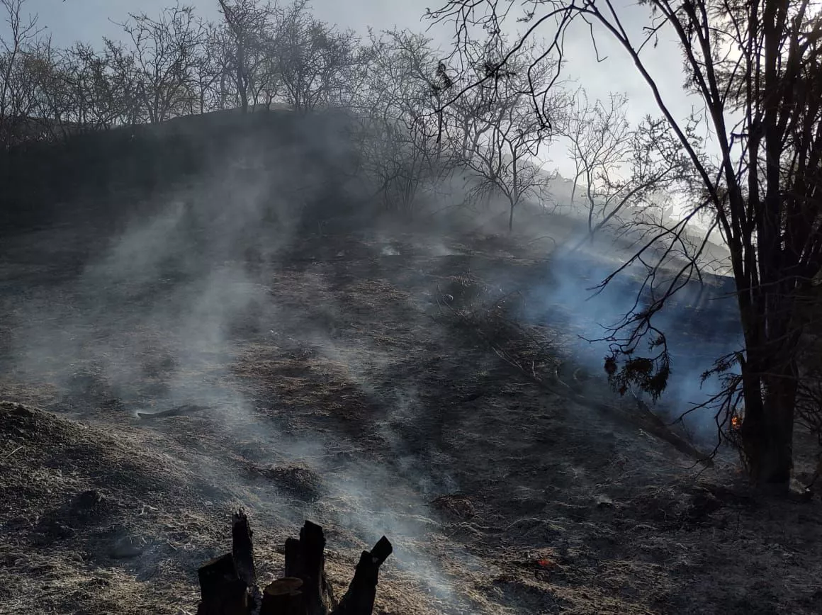 Incendio en Embalse Foto: Bomberos Voluntarios