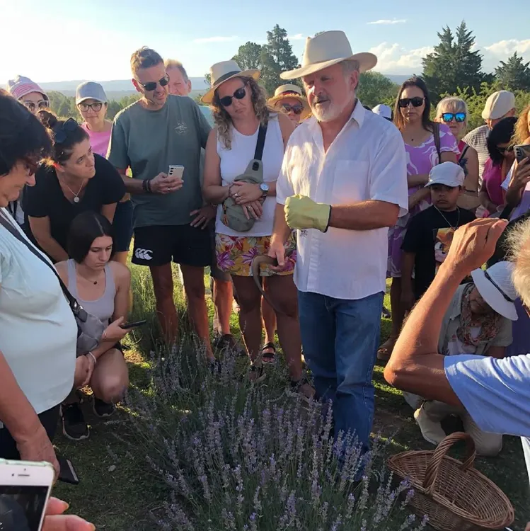 festival de la cosecha de la lavanda en islavanda 2025