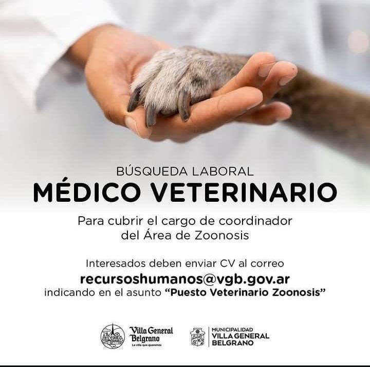 MAYO bolsa de trabajo (4)