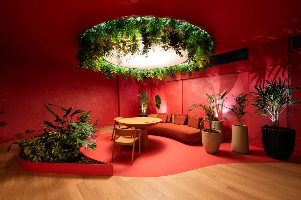 Estudio Zarzamora en Casa FOA 2025 (9)