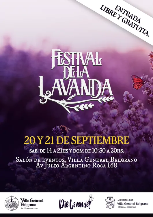 festival de la lavanda (2)