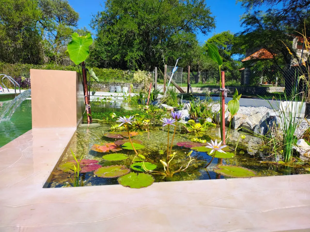 biopiscina posta calma soconcho