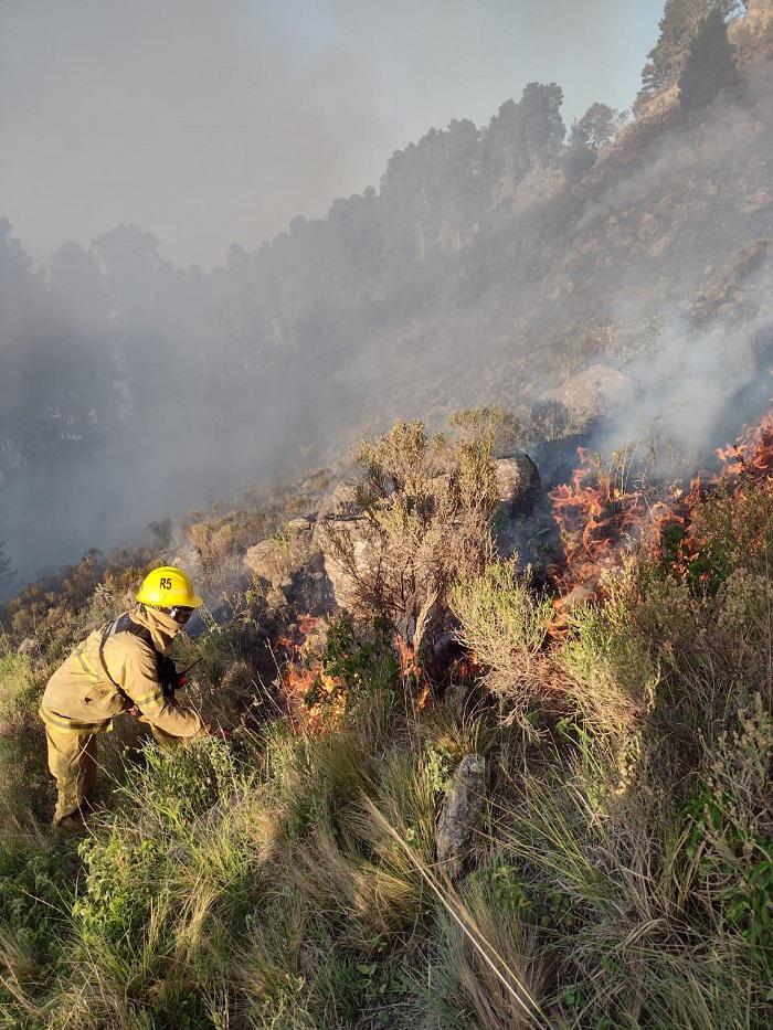 INCENDIO LUTTI 03